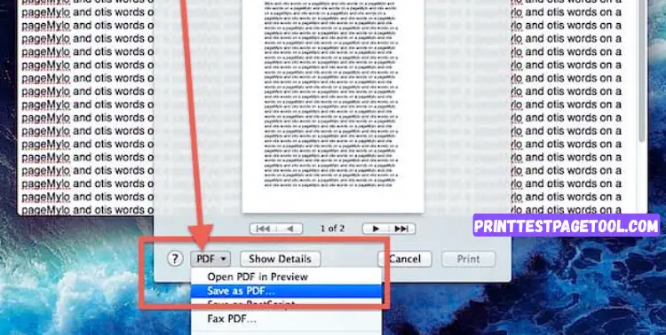 Print as PDF Using Print Dialog Box