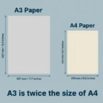 A3 and A4
